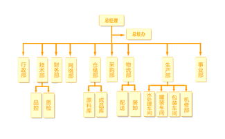 島上草集團組織架構與業務發展概覽